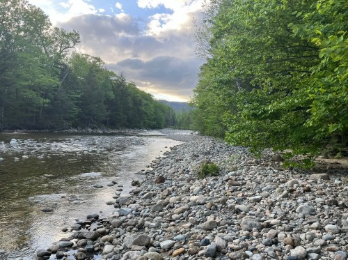 A serene riverbank lined with trees, featuring smooth stones and a calm waterway under a cloudy sky.