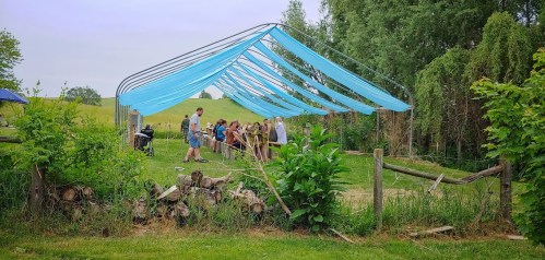 A group of people gather under a blue canopy in a grassy area, surrounded by trees and stacked firewood.