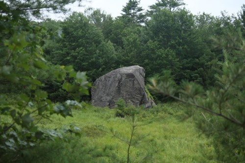 A large rock stands in a lush green forest, surrounded by trees and grass under a cloudy sky.