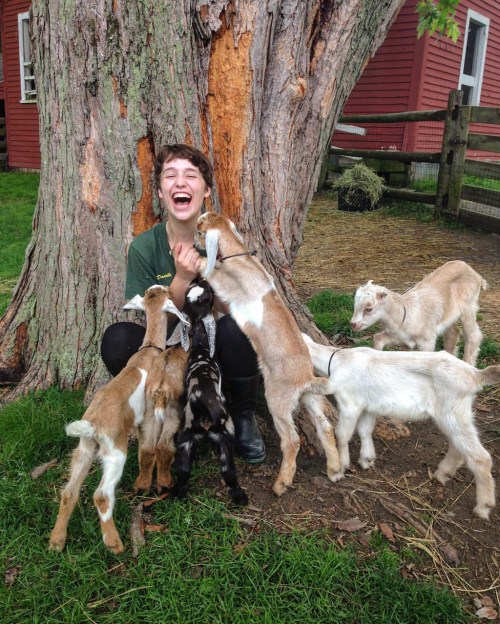 A person laughs joyfully while surrounded by playful goats near a tree.