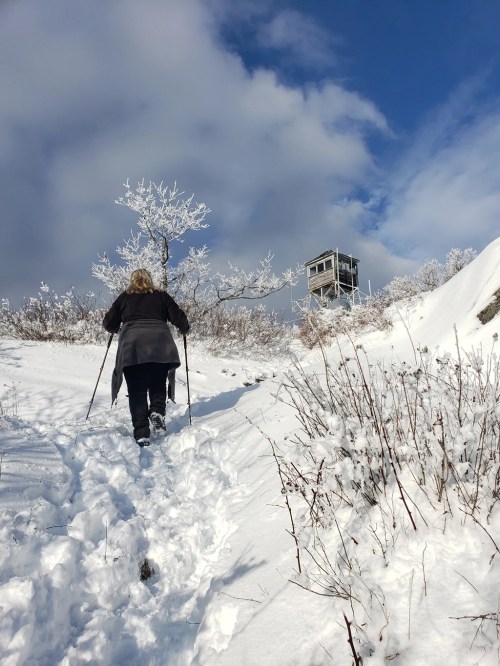 A person walks up a snowy path towards a lookout tower, surrounded by frosted trees and a blue sky.