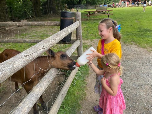 Two girls feed a calf from a bottle at a farm, with people and picnic tables in the background.