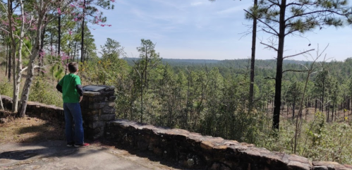 A person in a green shirt stands by a stone wall, overlooking a forested landscape under a clear sky.
