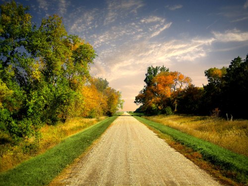 A gravel road lined with trees in autumn colors, leading towards a horizon under a blue sky with wispy clouds.