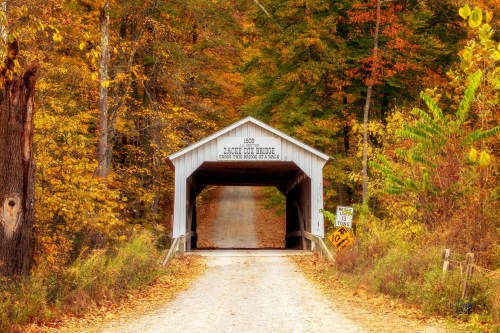 A covered bridge surrounded by vibrant autumn foliage, with a gravel road leading through it.