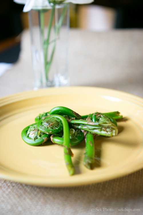 A yellow plate with fresh green fiddlehead ferns, placed on a textured tablecloth with a vase in the background.