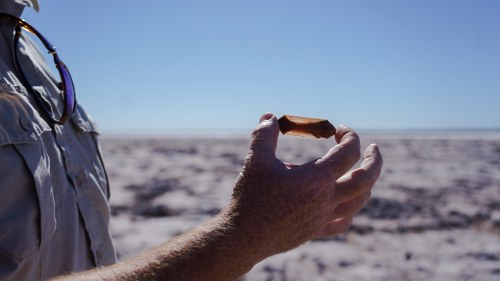 A person holds a small, brown artifact against a clear blue sky and sandy landscape.