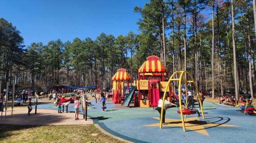 A vibrant playground with colorful equipment, surrounded by tall trees and children playing on swings and slides.