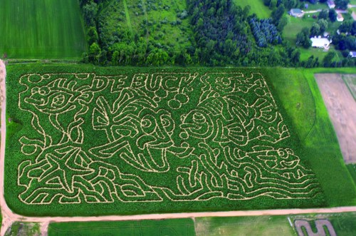 Aerial view of a corn maze featuring whimsical characters and designs carved into the greenery.