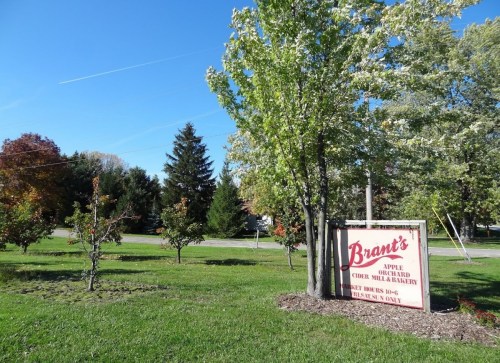 Sign for Brant's Apple Orchard and Bakery, surrounded by trees and green grass under a clear blue sky.