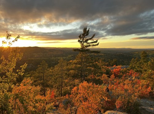 A scenic view of a sunset over a valley, with vibrant autumn foliage and silhouetted trees in the foreground.