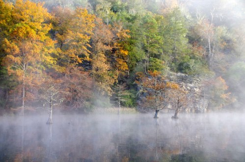 A serene lake surrounded by autumn trees, shrouded in morning mist, creating a tranquil, picturesque scene.
