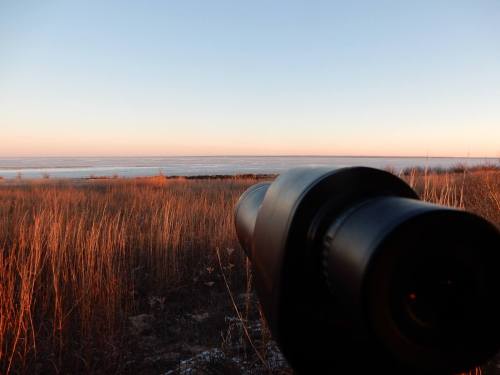 A close-up of a telescope overlooking a serene landscape at sunset, with tall grass and a calm body of water in the distance.