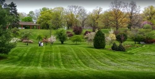 A lush green park with blooming trees and a couple walking along a manicured lawn under a clear sky.