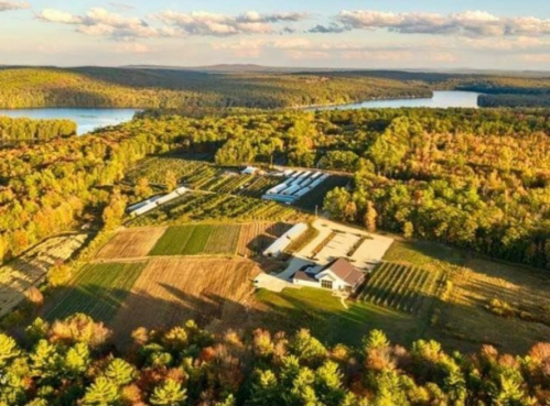 Aerial view of a lush farm surrounded by trees and a river, showcasing fields and buildings under a colorful sky.