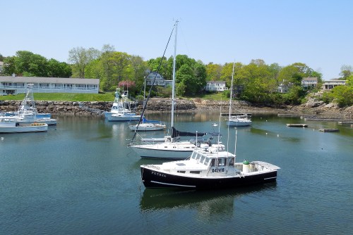 A calm harbor scene with several boats anchored, surrounded by green trees and waterfront homes under a clear blue sky.