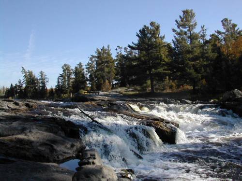 A serene river flows over rocky terrain, surrounded by tall trees under a clear blue sky.