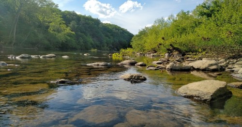 A serene river scene with clear water, smooth stones, and lush green trees lining the banks under a blue sky.