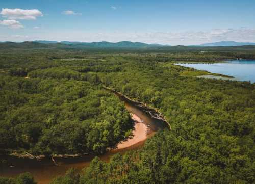 Aerial view of a lush green landscape with a winding river and a serene lake under a clear blue sky.