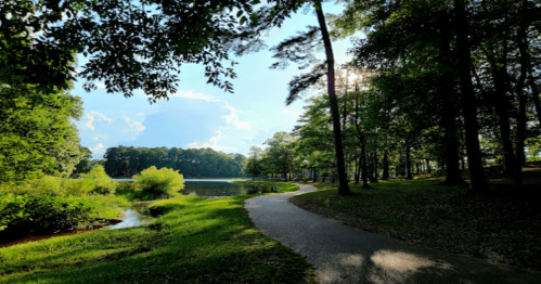 A serene park scene with a winding path beside a calm lake, surrounded by lush green trees and a bright blue sky.