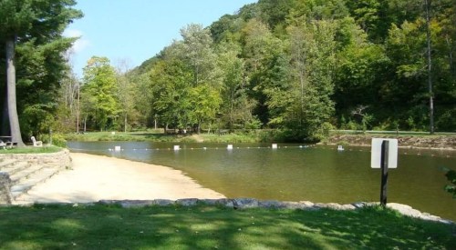 A serene riverbank scene with trees, a sandy area, and calm water under a clear blue sky.