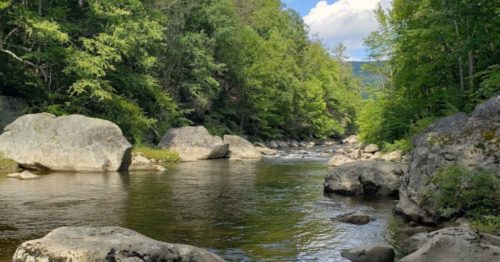 A serene river flows through a lush green forest, with large rocks lining the banks under a blue sky.