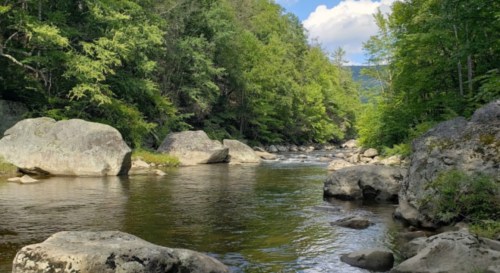 A serene river flows through a lush green forest, with large rocks lining the banks under a blue sky.