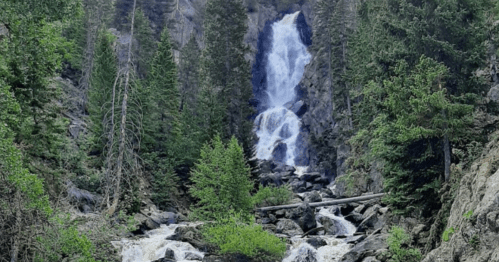 A cascading waterfall flows down rocky terrain, surrounded by lush green trees and a serene natural landscape.