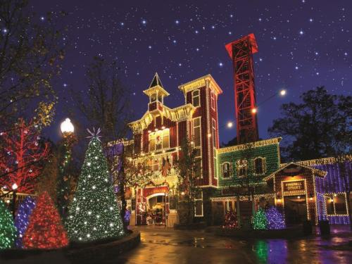 A festive building adorned with colorful lights, surrounded by decorated trees under a starry night sky.
