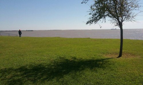 A person walks along a grassy area by a calm body of water, with a tree casting a shadow in the foreground.