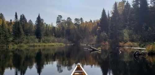 A canoe glides through a calm, reflective lake surrounded by lush trees and autumn foliage.