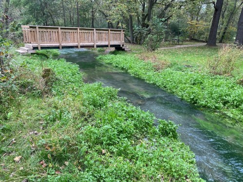 A wooden bridge spans a clear stream surrounded by lush green grass and trees in a serene park setting.