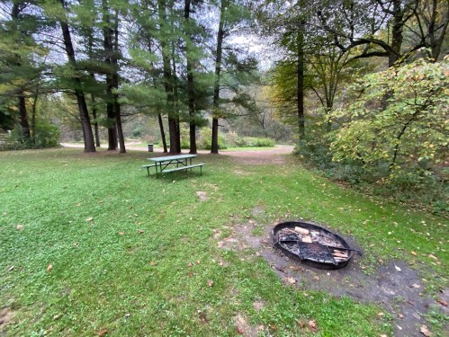 A grassy campsite with a fire pit and a picnic table surrounded by trees on a cloudy day.