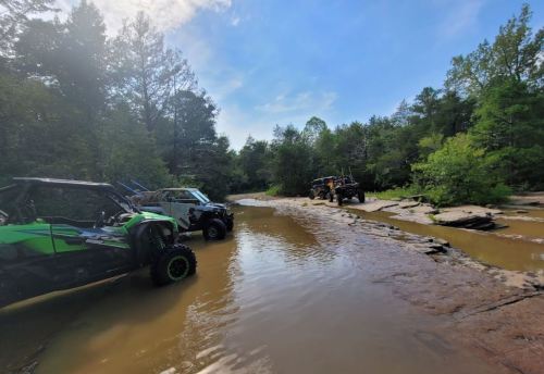 Off-road vehicles parked near a muddy stream surrounded by lush greenery and trees under a clear blue sky.