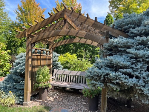 A wooden pergola with a bench surrounded by lush greenery and blue spruce trees under a clear sky.