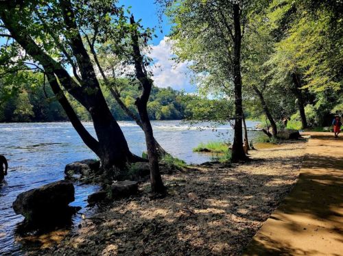 A serene river scene with trees lining the shore and a walking path, under a bright blue sky with fluffy clouds.