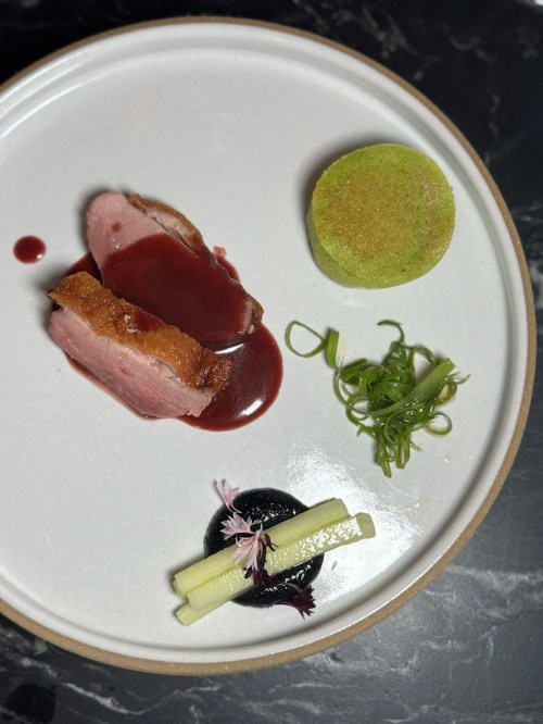 A plate featuring sliced duck with sauce, a green cake, scallions, and a dark sauce, arranged artistically.