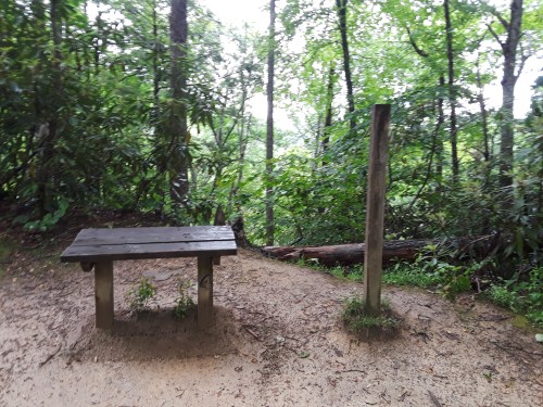 A wooden bench beside a post in a lush, green forested area with trees and underbrush.