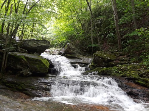 A serene waterfall cascades over rocks, surrounded by lush green trees in a tranquil forest setting.