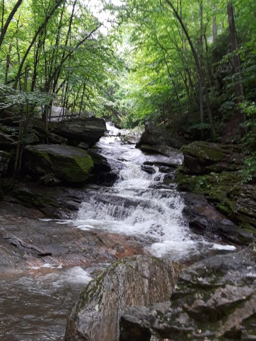 A serene waterfall cascades over rocks, surrounded by lush green trees in a tranquil forest setting.