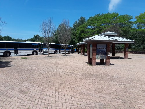 Two buses parked at a bus stop with a shelter and information board, surrounded by trees and blue sky.