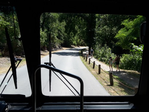 View from the front of a bus looking down a tree-lined road with people walking along the side.