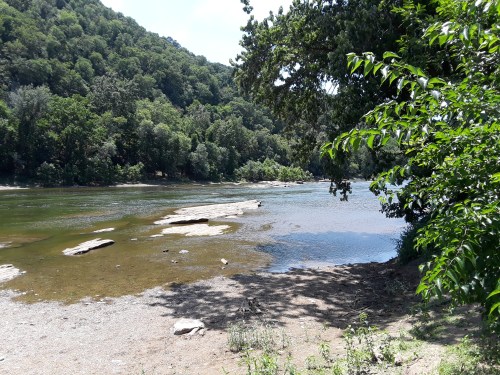 A serene riverbank scene with rocky outcrops, surrounded by lush green trees and a clear blue sky.