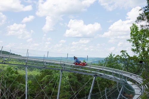 A person rides a mountain coaster on a winding track with lush green trees and a blue sky in the background.