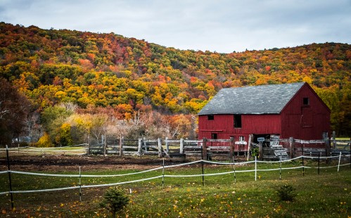 A red barn surrounded by vibrant autumn foliage and a grassy field under a cloudy sky.