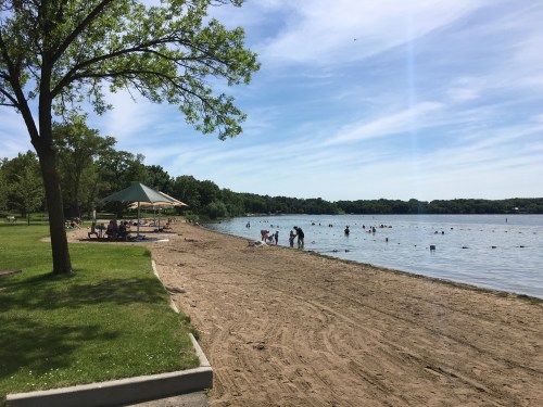 A sandy beach by a calm lake, with people swimming and relaxing under trees on a sunny day.