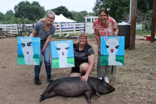 Three women pose with paintings of llamas beside a sleeping pig in a farm setting.