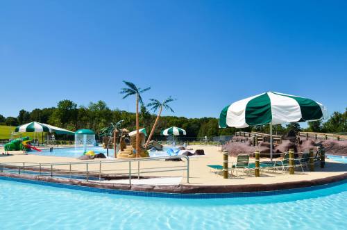 A sunny pool area with palm trees, umbrellas, and a sandy beach-like setting, surrounded by green fields.
