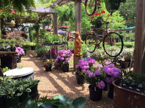 A garden center filled with vibrant flowers, hanging bicycles, and a wooden bear statue amidst lush greenery.