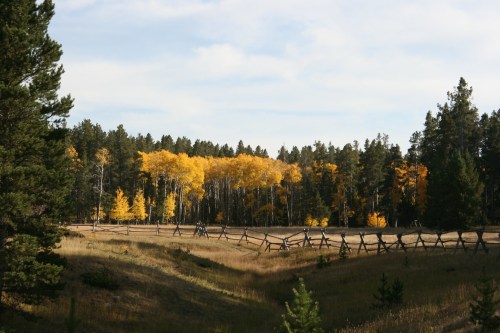 A scenic landscape featuring a meadow with a wooden fence, surrounded by trees with vibrant autumn foliage.